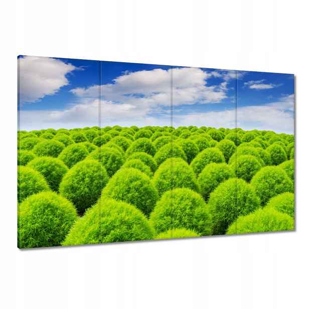 Obrazy 120x80 Zelený pohled Dolina