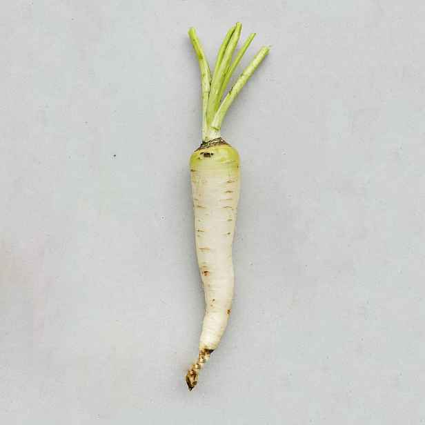 Culina Botanica Mrkev Bílá belgická