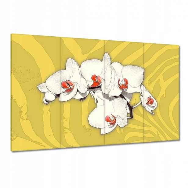 Obrazy 120x80 Orchideje Květiny na žlutém pozadí