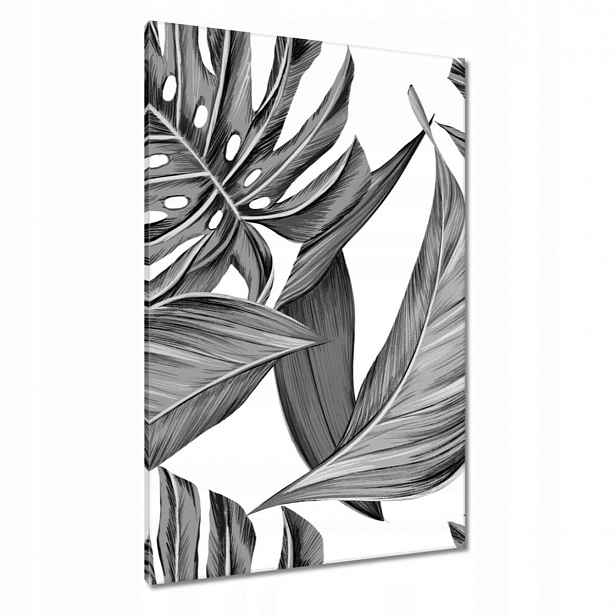 Obrazy 80x120 Monstera v šedé barvě