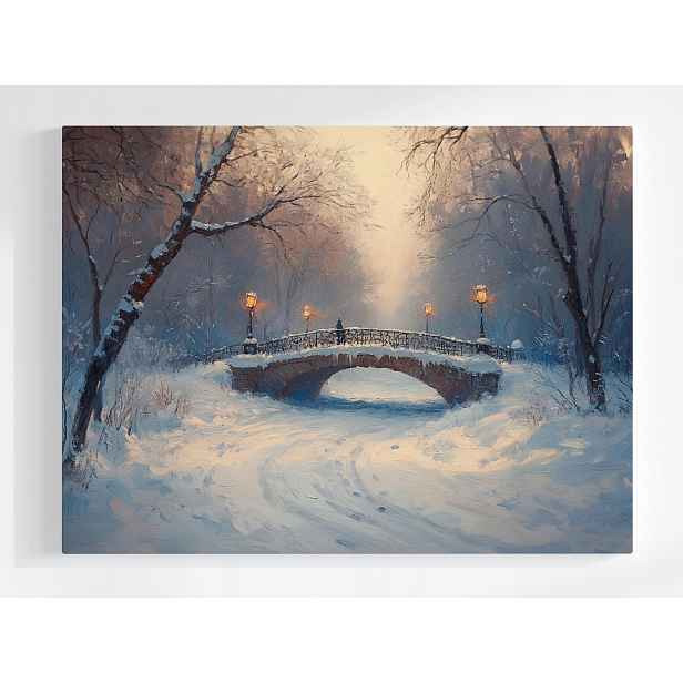 Plakát Krajina Pohled Park Most Potok Zima Sníh 100x75