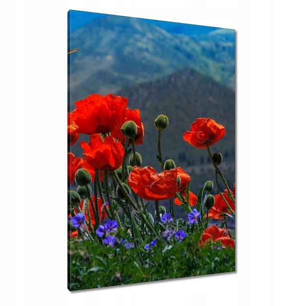 Obrazy 70x100 Červené máky Květiny