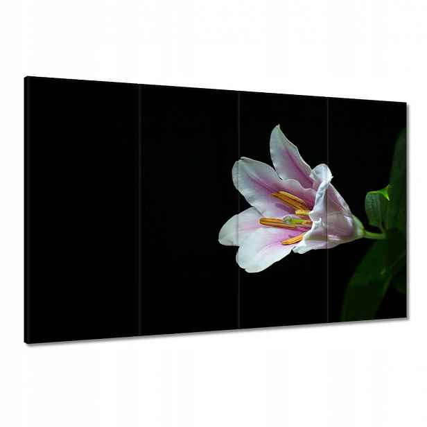 Obrazy 120x80 Rozkvetlá růžová lilie