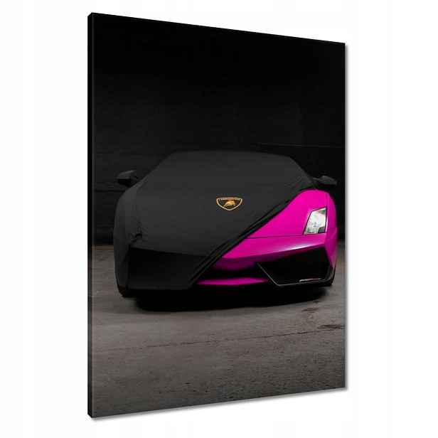 Obrazy 60x80 Růžové sportovní auto