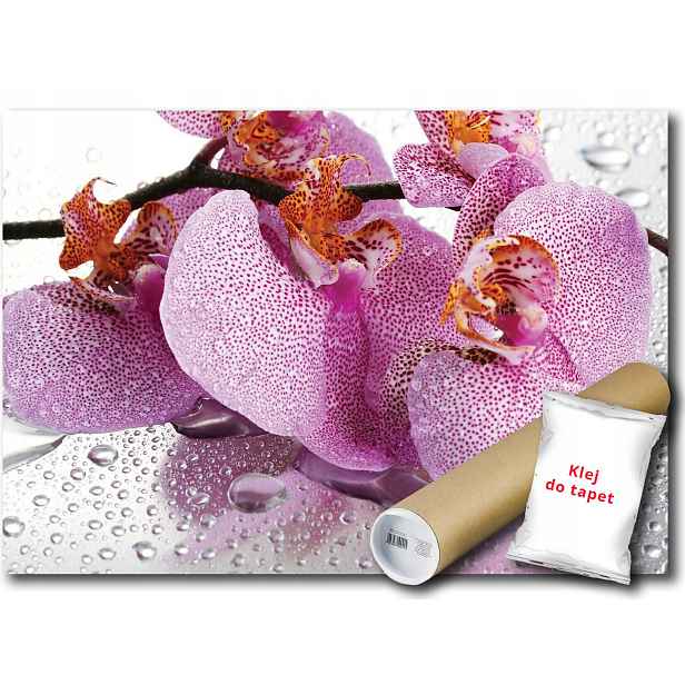 Vinylová fototapeta Orchidej Orchidej 208x146