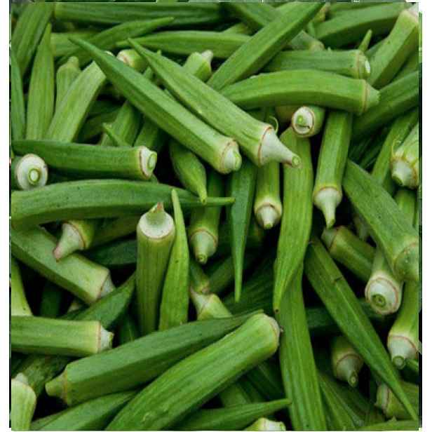 Culina Botanica Ibiškovec jedlý okra