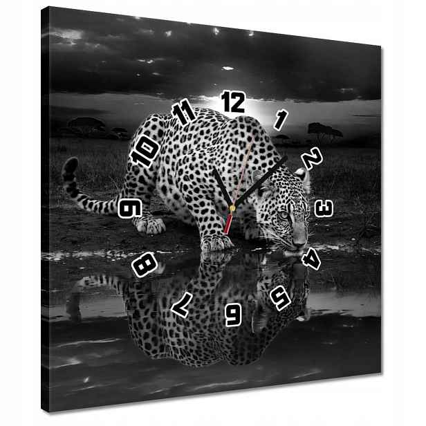 Hodiny 40x40 Na Zeď Gepard Tygr Salon