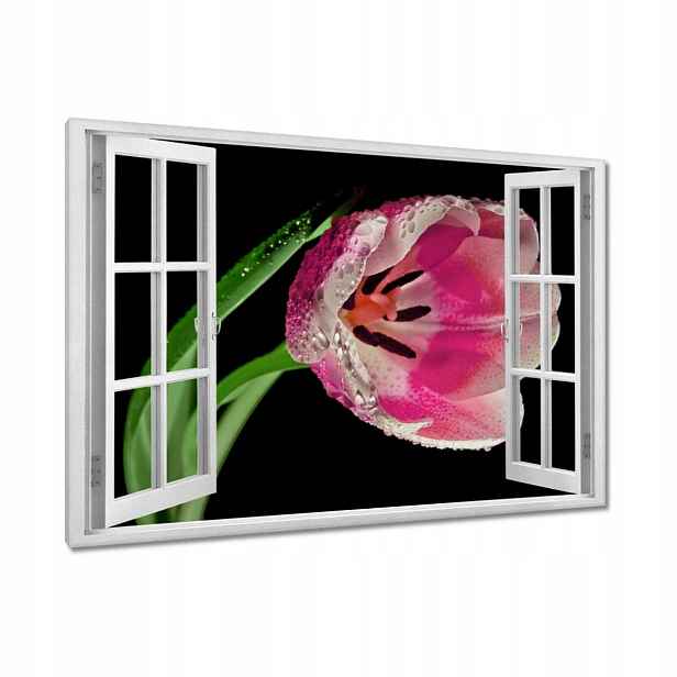 Obrazy 120x80 Růžový tulipán