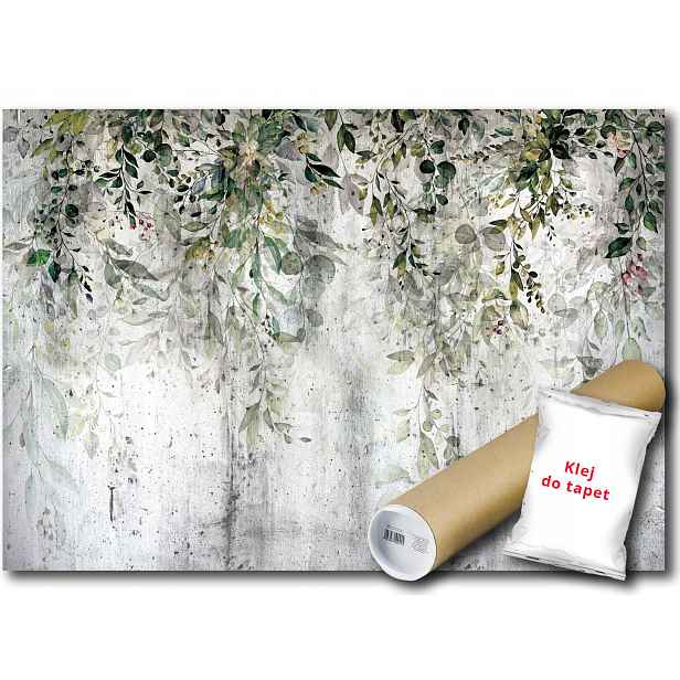 Vinylová Fototapeta Listy Rostliny Beton 152x104