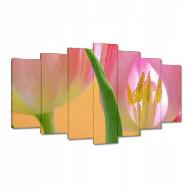 Obrazy 140x80 Růžové tulipány