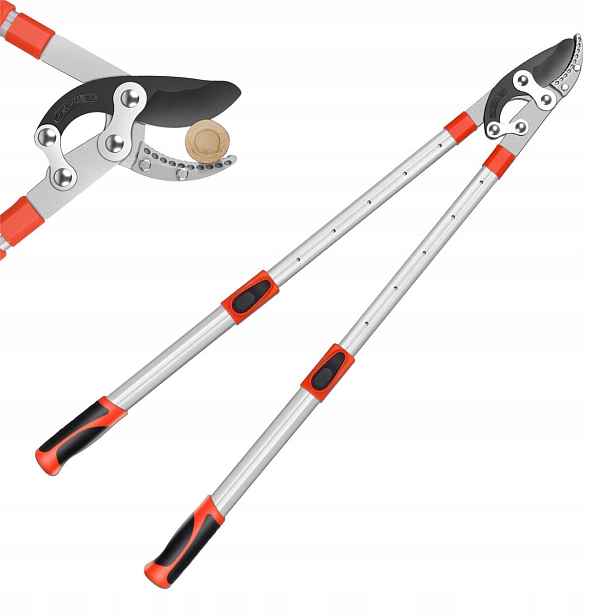 Nůžky Zahradní nůžky Odolné ergonomické Vysoká kvalita pro větve bonsajových stromů