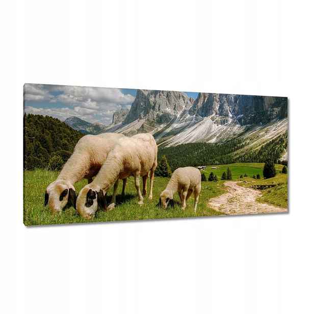 Obrazy 115x55 Hory Ovce Výprodej