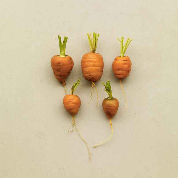 Culina Botanica Mrkev kulatá Mercado de Paris