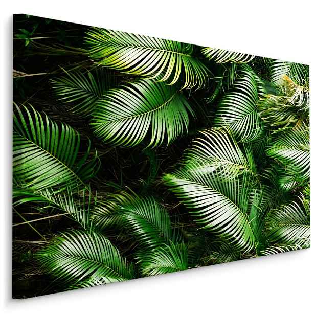 MyBestHome BOX Plátno Zelené Palmové Listy Varianta: 70x50
