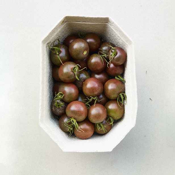 Culina Botanica Rajče Black Cherry BIO