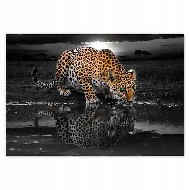 Fototapety 152x104 Na Zeď Gepard Do Ložnice
