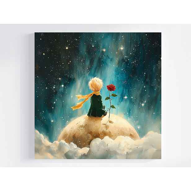 Obraz Na Plátně Canvas Pohádka Malý Princ Chlapec Růže Vesmír 50x50