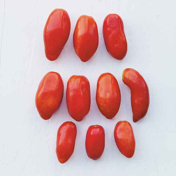 Culina Botanica Rajče San Marzano