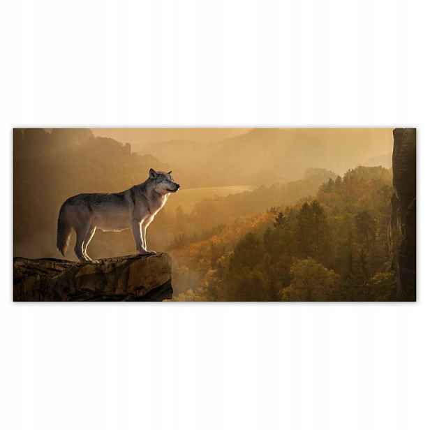 Fototapety 211x91 Vlk na svahu