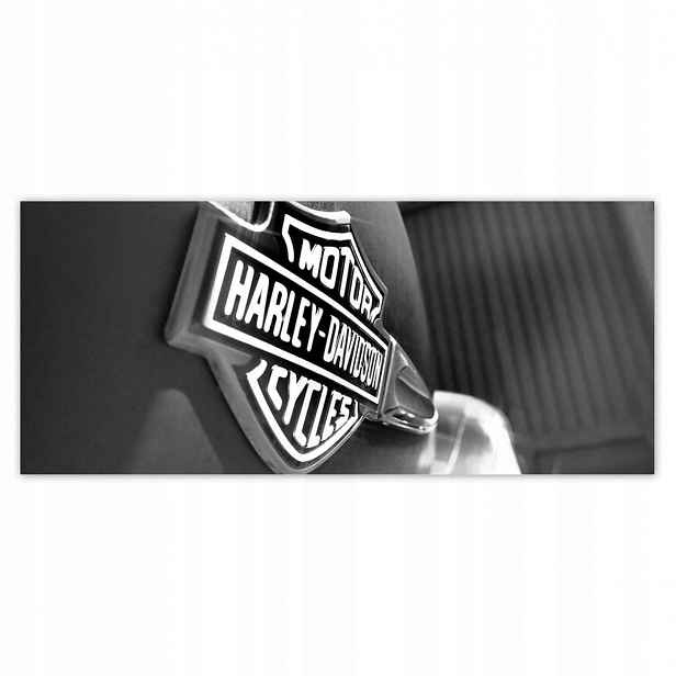 Fototapety 211x91 Logo Harley Davidson