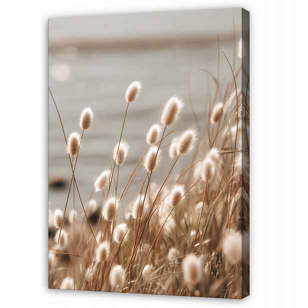 Béžový Obraz Tráva Pampasová Boho Do Předsíně Kanceláře Moderní 100x70