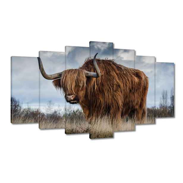 Obrazy 140x80 Kráva vysočiny Rohy