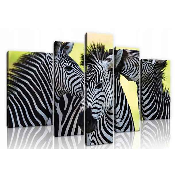Obraz 170x100 Zebra modulární černobílý příroda safari pruhy styl