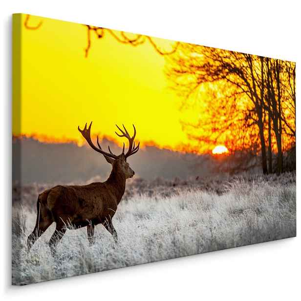 MyBestHome BOX Plátno Jelen Na Pozadí Vycházejícího Slunce Varianta: 40x30
