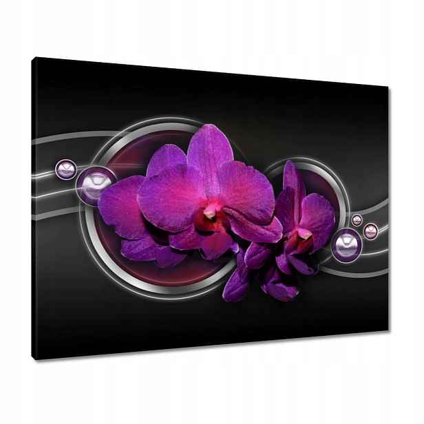 Obrazy 80x60 Fialová orchidej