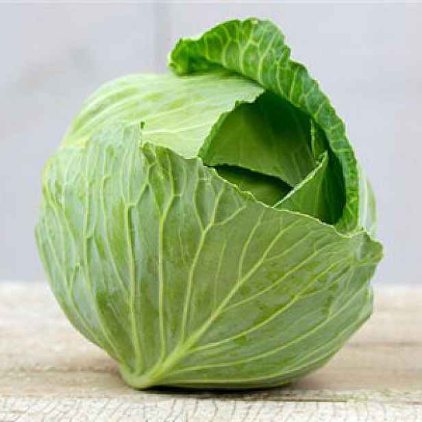 Culina Botanica Zelí Brunšvické