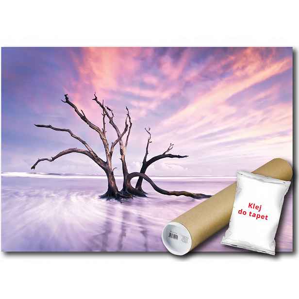 Fototapeta Voda Dřevo 3B F4XL 416x290 F13311