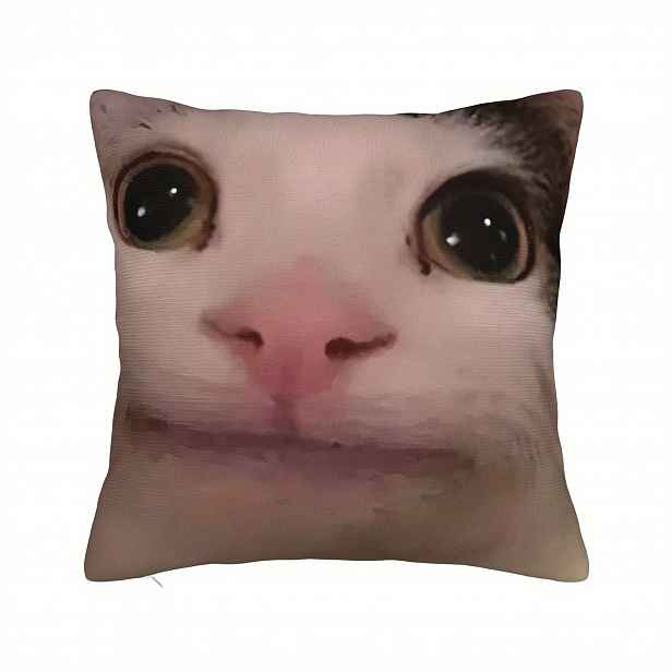 TEMU Cat Throw Pillowcase - Současný styl, Polyester, Strojově pratelný, Zipper Closure, Polštářová potah pro dekoraci pohovky, Pohovka