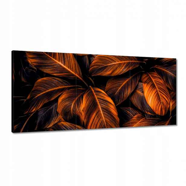 Obrazy 210x100 Oranžové listy