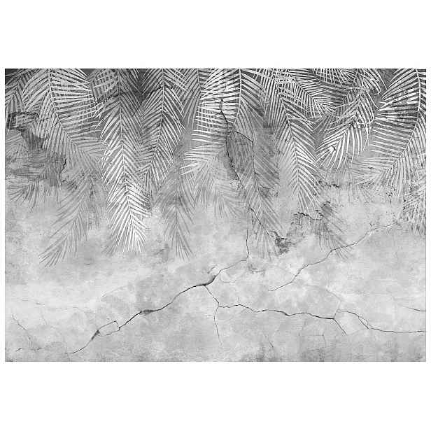 Fototapeta Beton a Palmy listy šedá minimalismus příroda 208x146 lepidlo