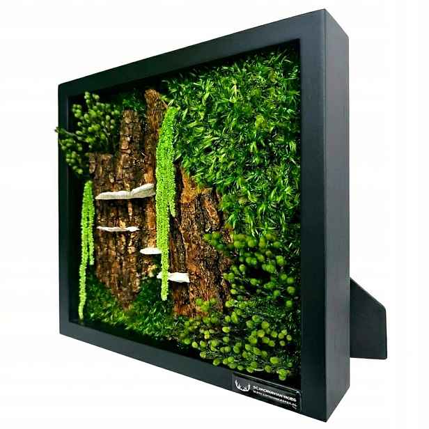 Obraz Z Mechu v dřevěném rámu 27x27 cm mech chrobotek Živý Obraz ručně vyrobený