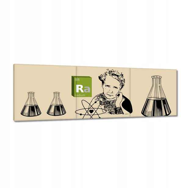 Obrazy 120x40 Maria Skłodowska-Curie