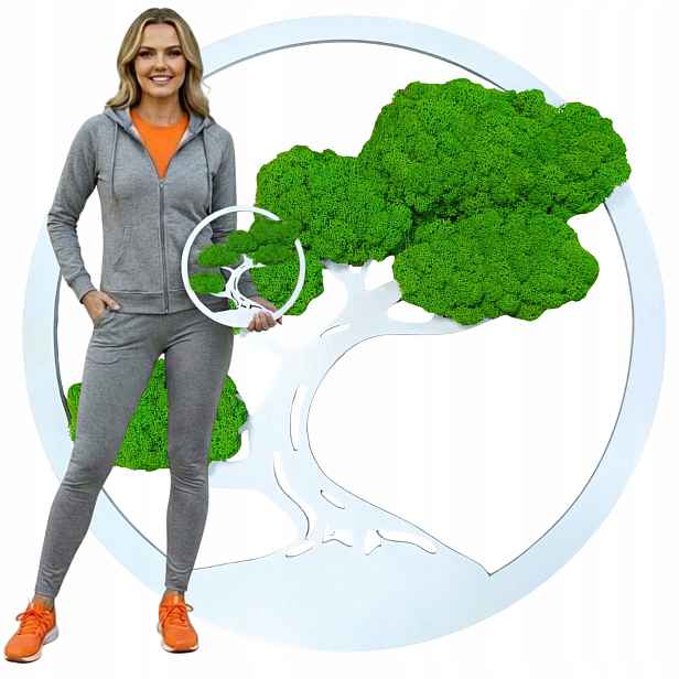 Strom Z Mechu chrobotka Obraz živý mech Reniferový Bonsai Dekorace