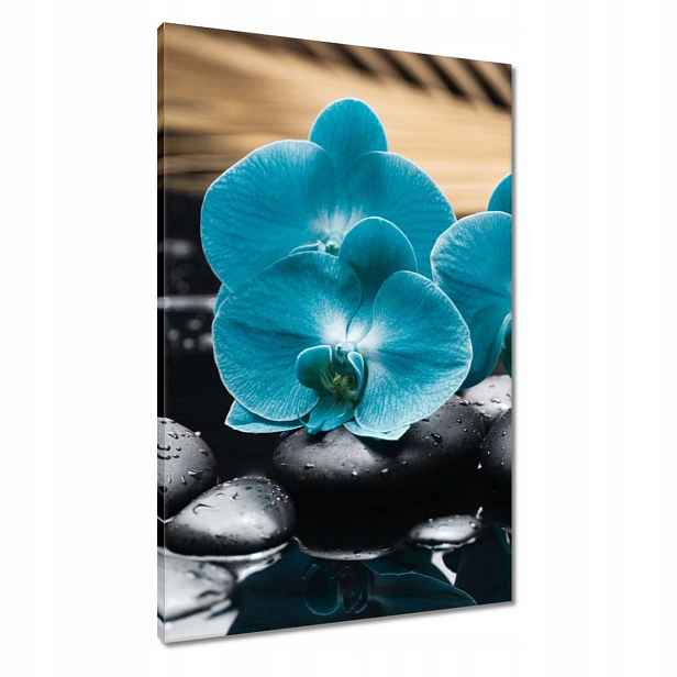 Obrazy 60x90 Tyrkysový orchidej Květina