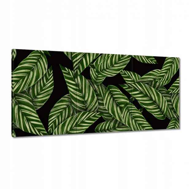 Obrazy 120x60 Zelené listy Tropiky
