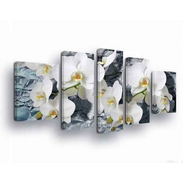 Obraz 170x100 Orchideje bílá květiny abstrakce textura elegance moderní