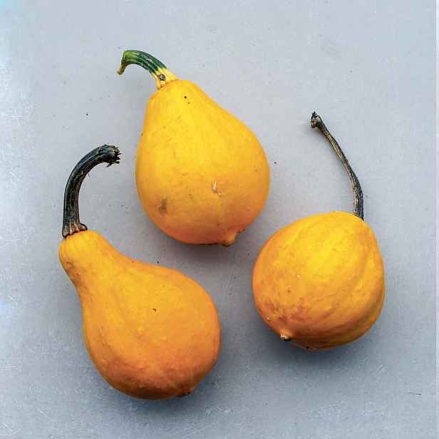Culina Botanica Cuketa Citrón
