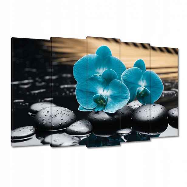 Obrazy 150x95 Tyrkysový orchidej Květina