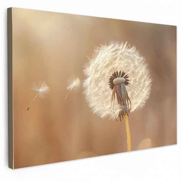 MuchoWow OBRAZ NA PLÁTNĚ Pampeliška - Béžová - Příroda - Květina 30x20 cm