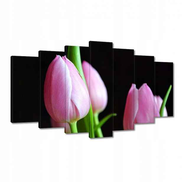 Obrazy 140x80 Fialové tulipány