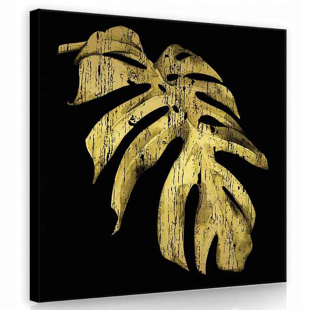 Obraz 80x80 Zlatý list monstera černé pozadí minimalismus elegance luxus