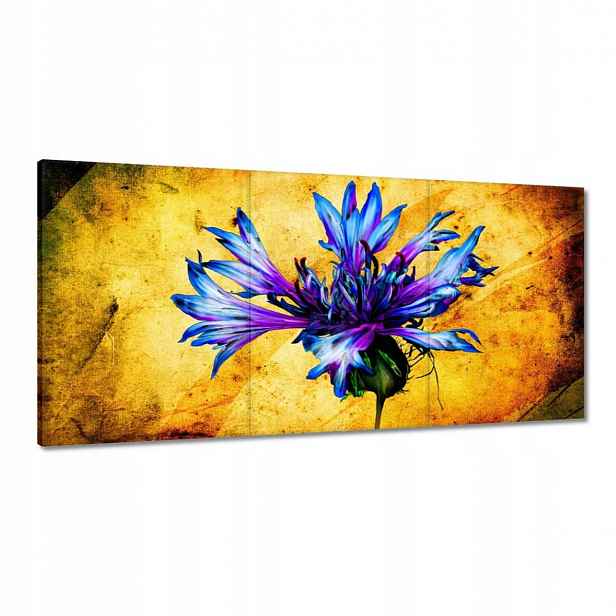 Obrazy 120x60 Blavatek
