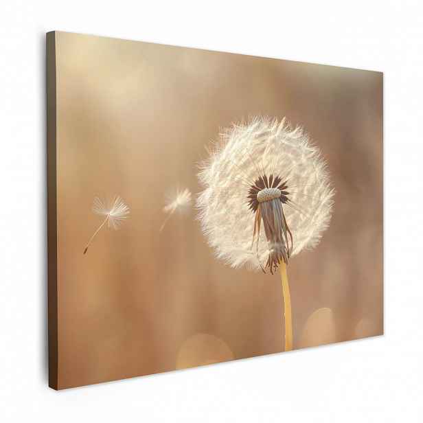 MuchoWow OBRAZ NA PLÁTNĚ Pampeliška - Béžová - Příroda - Květina 40x30 cm