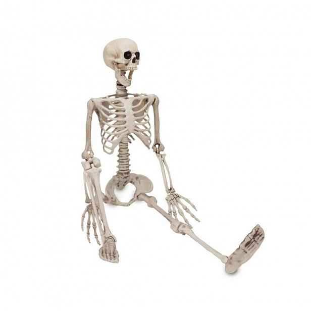 Kostra Halloween 90 CM Pohyblivé Klouby Realistická Pvc Dekorace