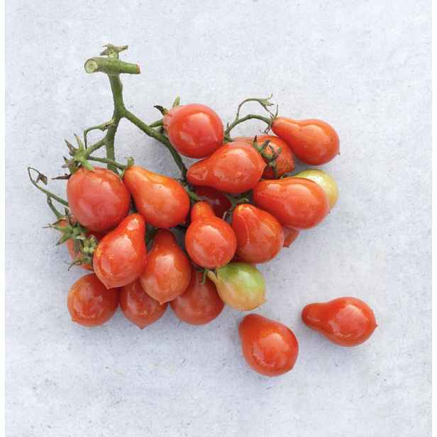 Culina Botanica Rajče Sugary Spritte
