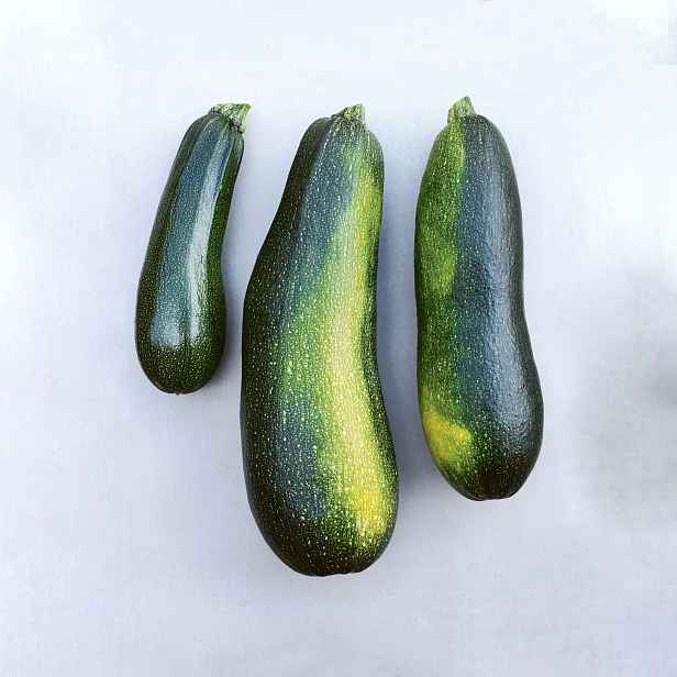 Culina Botanica Cuketa Jigonal